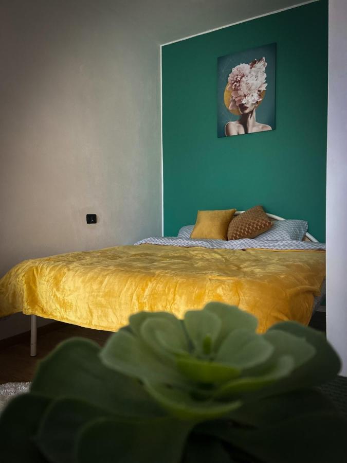 Green Studio Тімішоара Екстер'єр фото